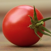 如何防止番茄顶裂果？
