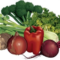 蔬菜种植的植物检疫