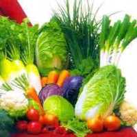 绿色蔬菜营养