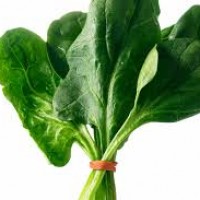 常见叶菜类蔬菜的营养价值和保健功效