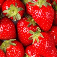 草莓的品种介绍与营养价值
