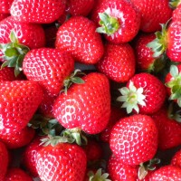 谁说草莓不能放心吃了