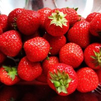 摘草莓并没有你想象的那么简单