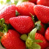 青岛草莓采摘节带来欢乐体验