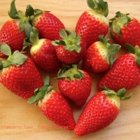青岛草莓采摘春游的佳选之郝家草莓园