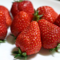 青岛草莓采摘现代城市生活的一方快乐净土