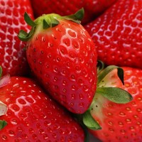 青岛郝家草莓采摘园是人们休养生息最佳之地