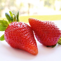 甜宝草莓：夏庄草莓的独特魅力