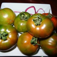 夏庄杠六九（-69）西红柿，青岛人的最爱