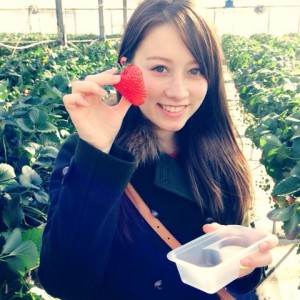 青岛郝家草莓采摘园
