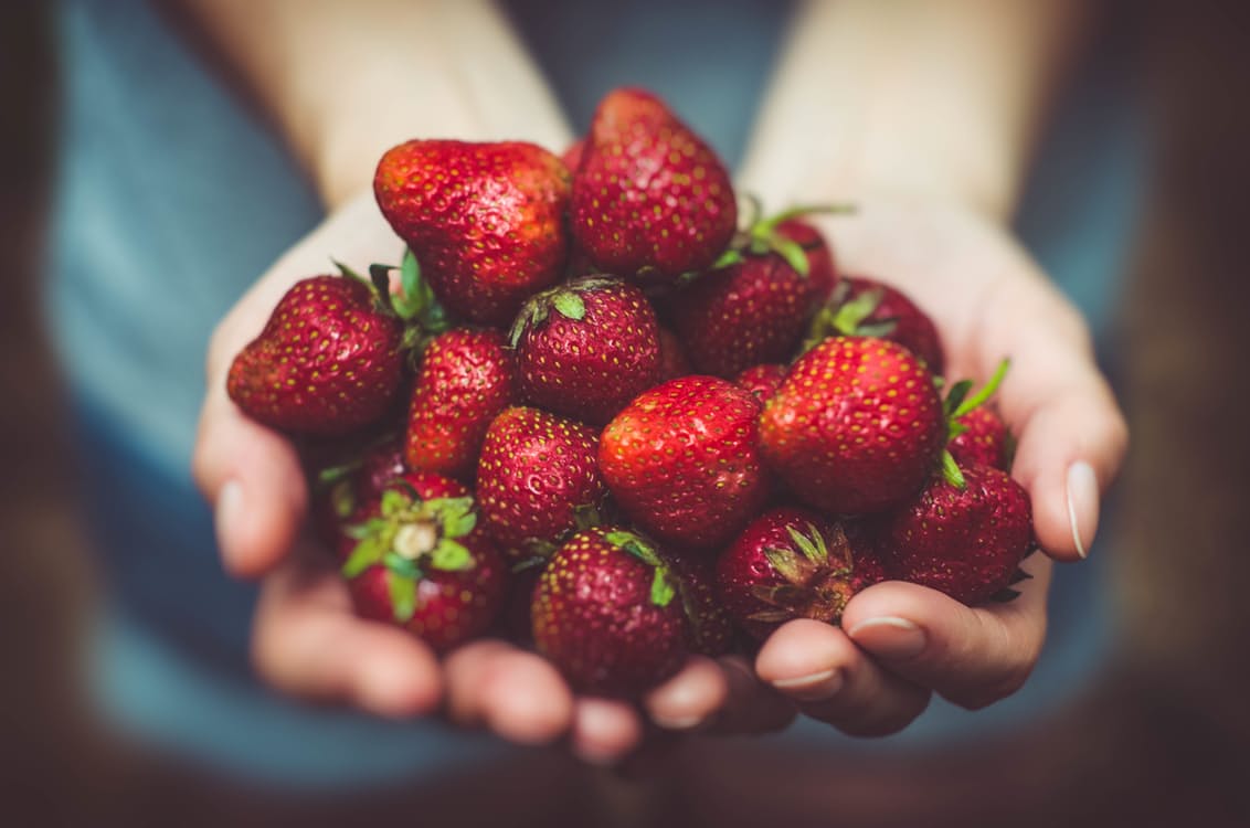 草莓采摘，帮助农民脱贫致富