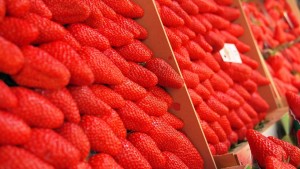 青岛甜宝草莓