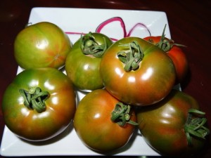 青岛夏庄杠六九西红柿合作社