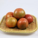 草莓柿子提升农民收入